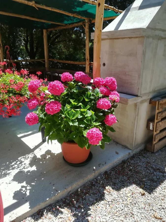 Stela Appartement Pinezići Buitenkant foto
