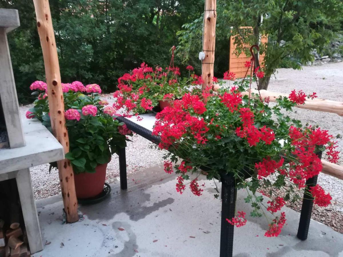 Stela Appartement Pinezići Buitenkant foto